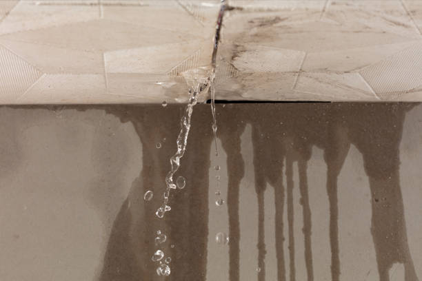 Professional Flood Damage Cleanup technician working in Welches, OR
